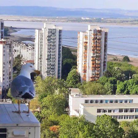 Appartamento Seaview Serenity *